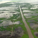 Louisiana Wetlands thumbnail